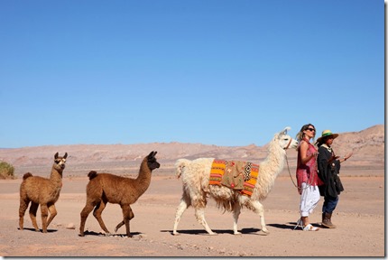 #Vacarurales Una experiencia única en nuestro país