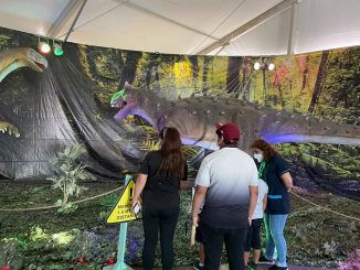 Diversos grupos de interés comunitarios visitaron Puerto Antofagasta y su Expo Dinosaurios en Sitio Cero Diversos grupos de interés comunitarios visitaron Puerto Antofagasta y su Expo Dinosaurios en Sitio Cero