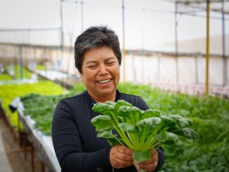 Mujeres rurales: Protagonistas en la sobrevivencia y el futuro del campo