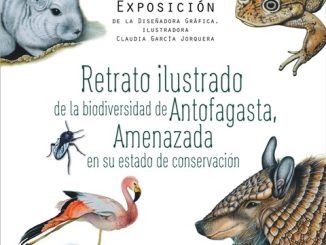 Exposición que muestra la biodiversidad y su estado actual se presentará en Biblioteca Regional de Antofagasta