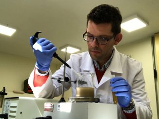 Investigadores de la UA emplean un hongo para acelerar trabajo de bacterias que recuperan cobre