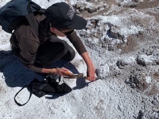 Todas las piedras gritan: performance de teatro de objetos se presentará en Ruinas de Huanchaca