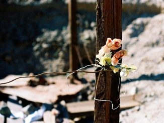 Veleidosa: La expo que establece relación entre la memoria, derechos humanos y fotografía