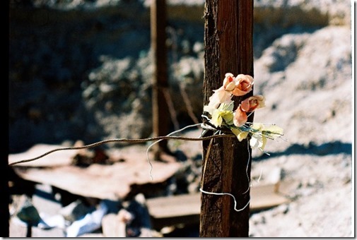 Detalle Flor en Estacaca