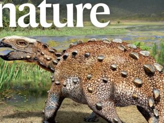 Los más impresionantes descubrimientos de la era de los dinosaurios en Chile