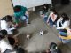 Programa ViLTI SeMANN – UCN realizó taller de robótica educativa para niñas en Finning Antofagasta