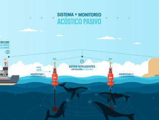 CMP instalará “Boyas Hidroacústicas” para el monitoreo y detección de fauna marina y embarcaciones