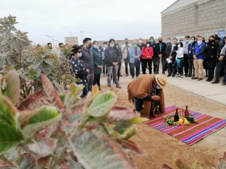 Realizan Lanzamiento del Consorcio del Desierto: Impulsando la Agricultura del Futuro para la Macrozona Norte