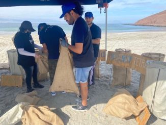 Operativo de limpieza recolectó más de 400 kilos de basura en playa La Rinconada