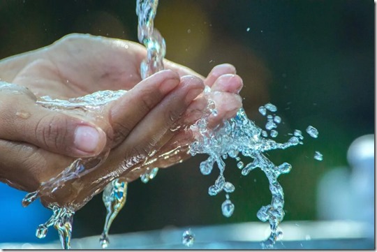 AGUA CEDEUS