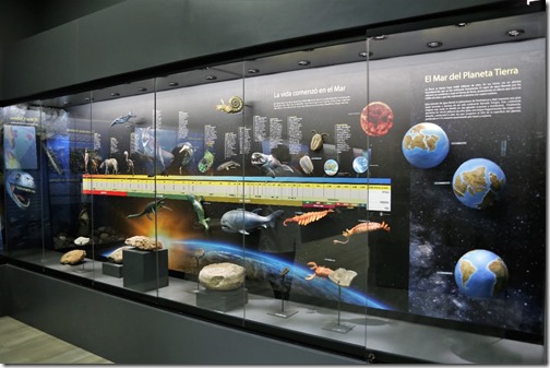 museo (2)