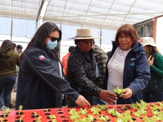 FIA lanza Convocatoria Nacional de Proyectos de Innovación desde el Desierto de Atacama