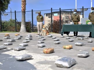 Calama: Carabineros desbarató banda y decomisó más de 151 kilos de droga en dos operativos