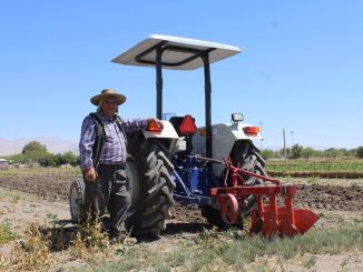 Fondo Agrícola de Minera El Abra ayuda a modernizar labor productiva de agricultor calameño