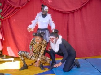 Continúan presentaciones de Animalía el circo de animales