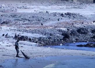 Documental “Atlas Etnolingüístico en los campos semánticos de la Pesca, Minería y Agropastoril” se estrena en Biblioteca Regional