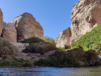 MOP hace un llamado a registrar a tiempo el derecho de aprovechamiento de aguas en el Catastro Público