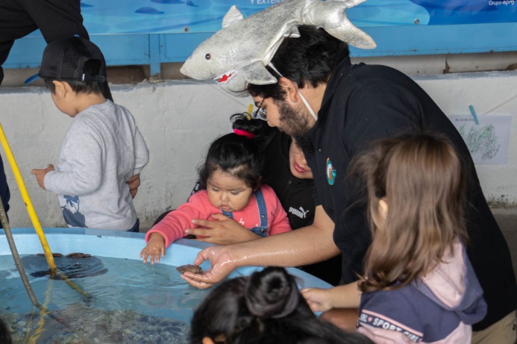 En el mes del mar invitan a visitar muestra “Conociendo el mundo marino” en Campus Coloso de la UA