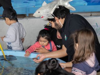 En el mes del mar invitan a visitar muestra “Conociendo el mundo marino” en Campus Coloso de la UA