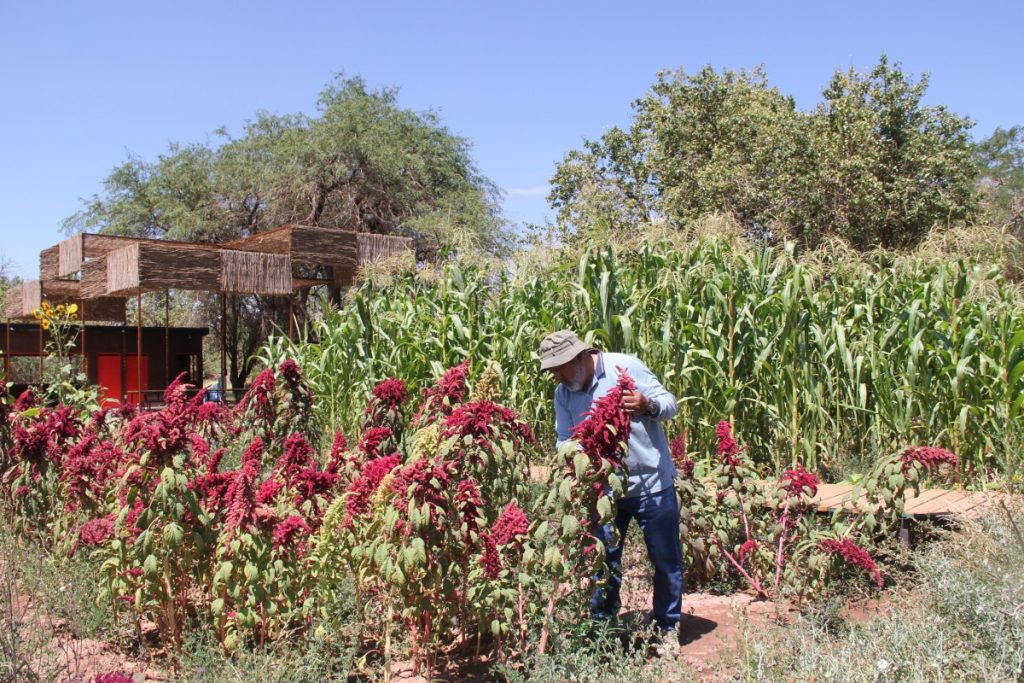 Minera El Abra lanza nueva versión del Fondo Agrícola de Desarrollo Rural