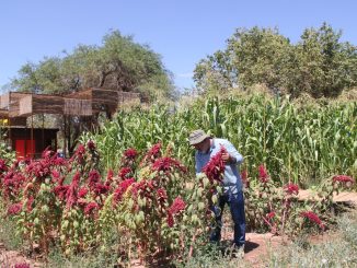 Minera El Abra lanza nueva versión del Fondo Agrícola de Desarrollo Rural