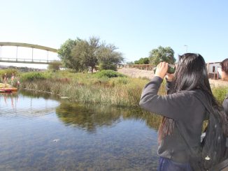 Con proyecto de Fondo Ambiental de El Abra mejoran circuito para conocer flora y fauna en Parque El Loa