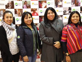 Lideresas del Salar de Atacama ratifican su compromiso con AMA en el primer aniversario de la Alianza para la Mujer Atacameña