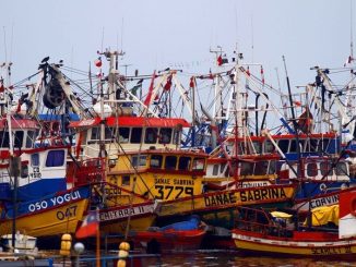 Comisión de Pesca aprueba suspensión de plazos de caducidad pesquera artesanal por tiempo limitado y por solo una vez