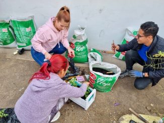 Con el cultivo de frutas y hortalizas jardín infantil Carnavalito celebró el Día Mundial del Árbol