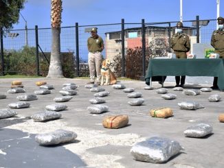 Región de Antofagasta lidera a nivel nacional incautación de drogas en el 2022