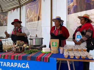 Exitoso cierre tuvo XVI Encuentro de Cultoras y Cultores Indígenas en la comuna de San Pedro de Atacama