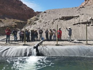 Asociación Atacameña de regantes y agricultores de la Quebrada de Soncor inauguran estanque de agua con apoyo de SQM