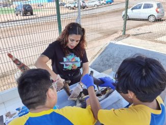 Escolares de Tocopilla disfrutaron de Jornada de Biología Marina en la UA