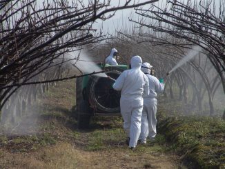 SAG apuesta por el uso de plaguicidas a base de extractos naturales