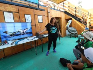 Escolares participan en charlas de cetáceos y vida costera de Antofagasta