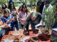 Taltal promueve el uso de yerbas medicinales del pueblo chango en la salud pública