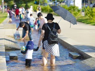 Las principales causas y consecuencias de las cada vez más comunes olas de calor