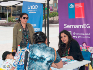 Verano de inscripciones: SernamEG abrió postulaciones a tres programas