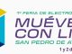 Primera Feria "Muévete con Litio" en San Pedro de Atacama: El Epicentro de la electromovilidad en Chile