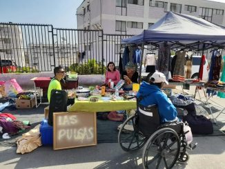 Las Pulgas: Paisajes en resistencia, del artista visual antofagastino se exhibirá este fin de semana en Feria de las pulgas Pantaleón Cortés