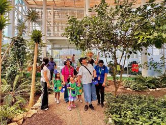 Niñas y niños de Integra se convirtieron en exploradores durante su visita al Jardín Botánico de Antofagasta