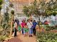 Niñas y niños de Integra se convirtieron en exploradores durante su visita al Jardín Botánico de Antofagasta
