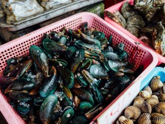 Experta detalla los cuidados al consumir productos del mar