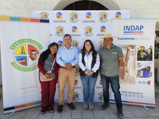 Convocan a ganaderos a inscribirse y participar en Congreso Internacional de Camélidos Chile 2024