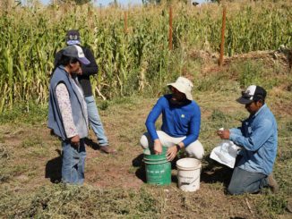 Programa ATF de SQM Litio comenzó la toma de muestras de suelos de terrenos de 13 agricultores de San Pedro de Atacama