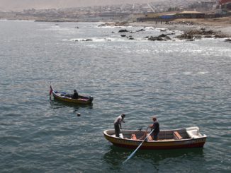 Pescadores de Tocopilla y Taltal comparten experiencias: Minera El Abra impulsa el traspaso de conocimientos y experiencias a través de pasantías