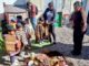 Niñas y niños de jardines infantiles del altiplano participaron del tradicional floreamiento de animales