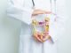 SIBO: ¿Cómo saber si tengo exceso de bacterias en el intestino delgado?