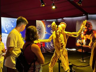Llega a Antofagasta la exhibición científica más vista del mundo: “Bodies Evolution, Cuerpos Humanos Reales” Llega a Antofagasta la exhibición científica más vista del mundo: “Bodies Evolution, Cuerpos Humanos Reales”