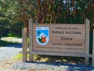 Fedetur arremete por anuncio de paro indefinido de funcionarios de CONAF: “Provocan un enorme daño al turismo y al país” Fedetur arremete por anuncio de paro indefinido de funcionarios de CONAF: “Provocan un enorme daño al turismo y al país”